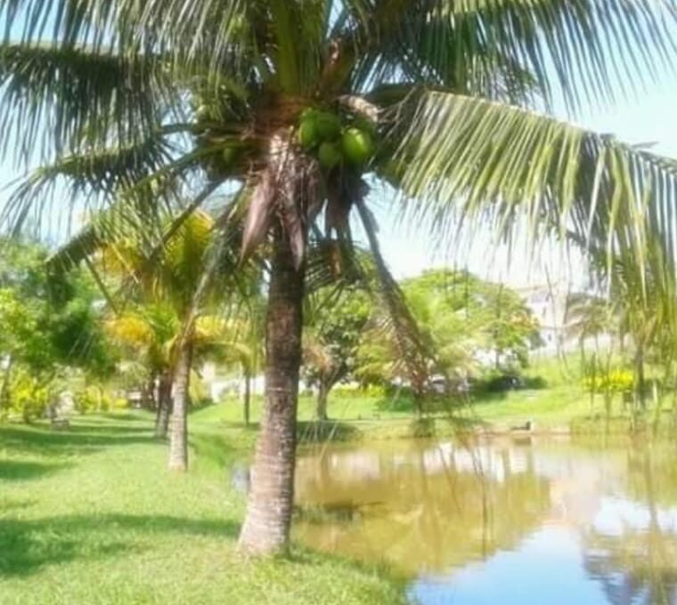WhatsApp Image 2020-12-08 at 14.25.21